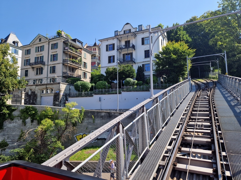 20250809_113102 (Kopiowanie).jpg