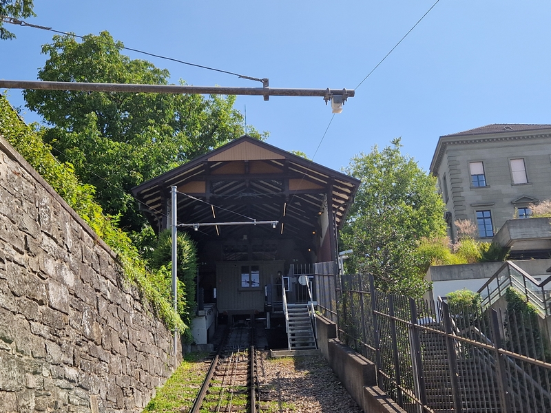 20250809_113145 (Kopiowanie).jpg