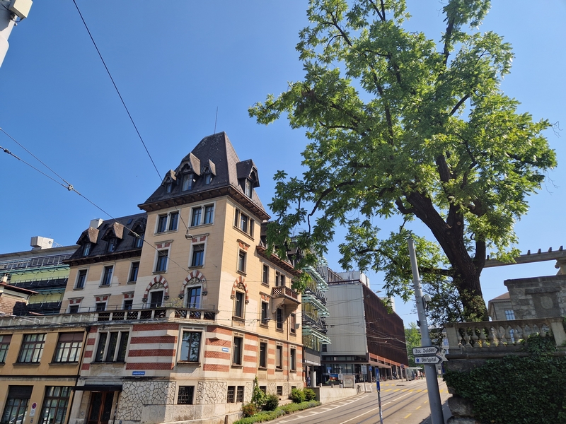 20250809_113308 (Kopiowanie).jpg