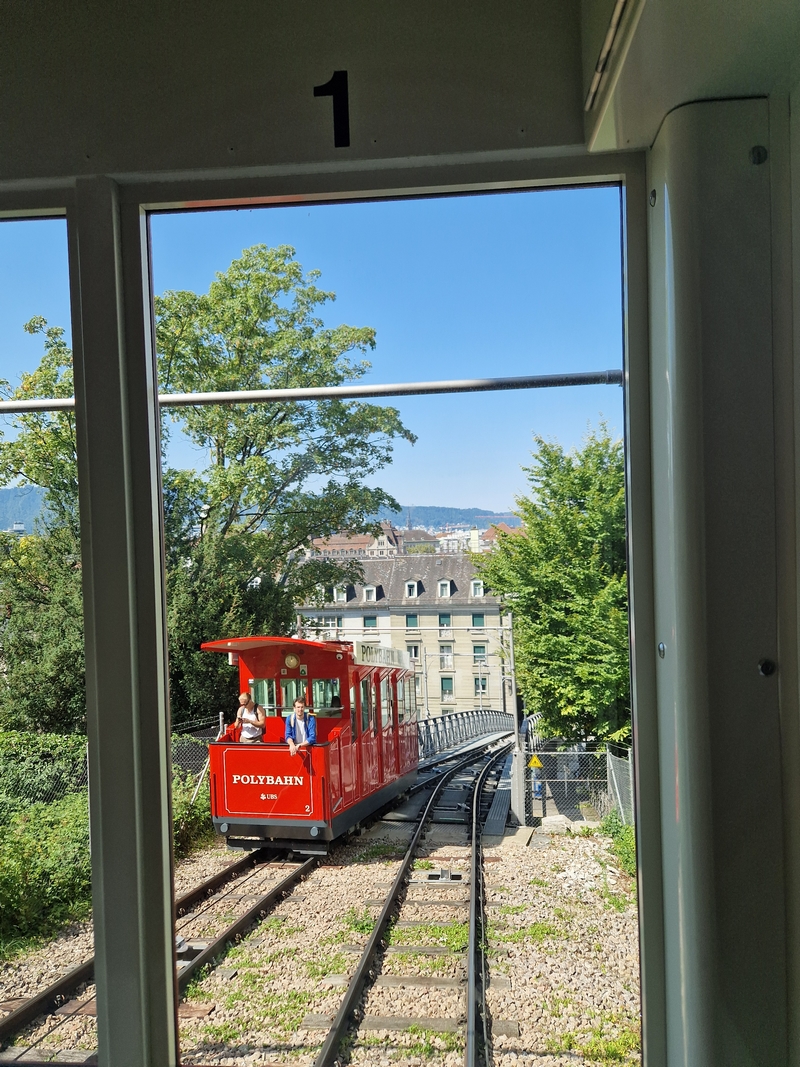 20250809_113509 (Kopiowanie).jpg