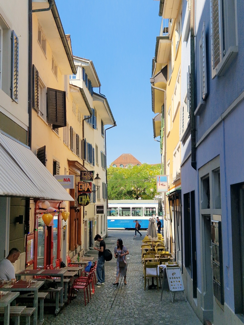 20250809_114454 (Kopiowanie).jpg