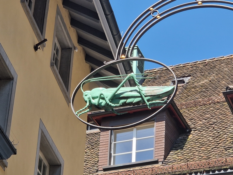 20250809_121311 (Kopiowanie).jpg