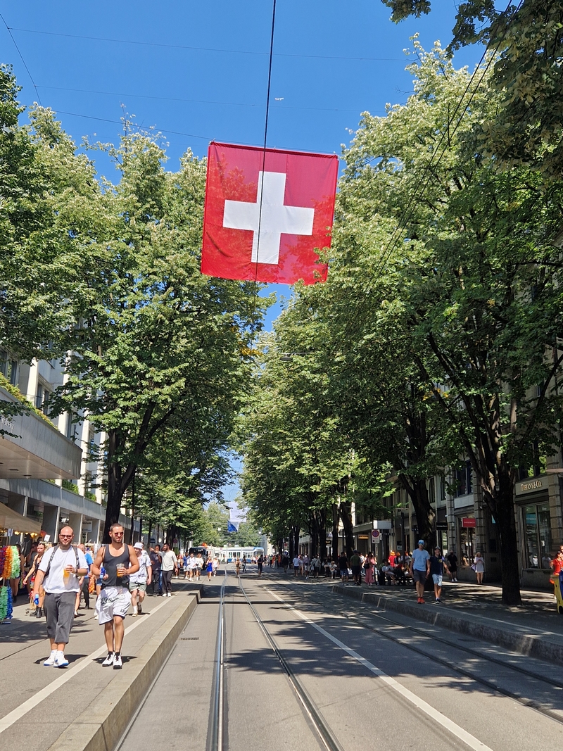 20250809_125223 (Kopiowanie).jpg