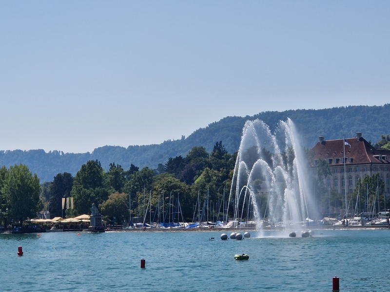 20250809_133346 (Kopiowanie).jpg