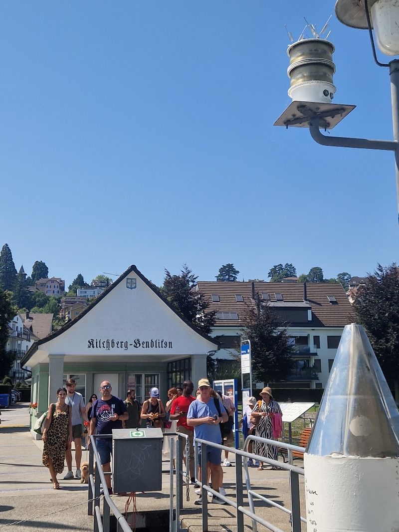 20250809_135510 (Kopiowanie).jpg