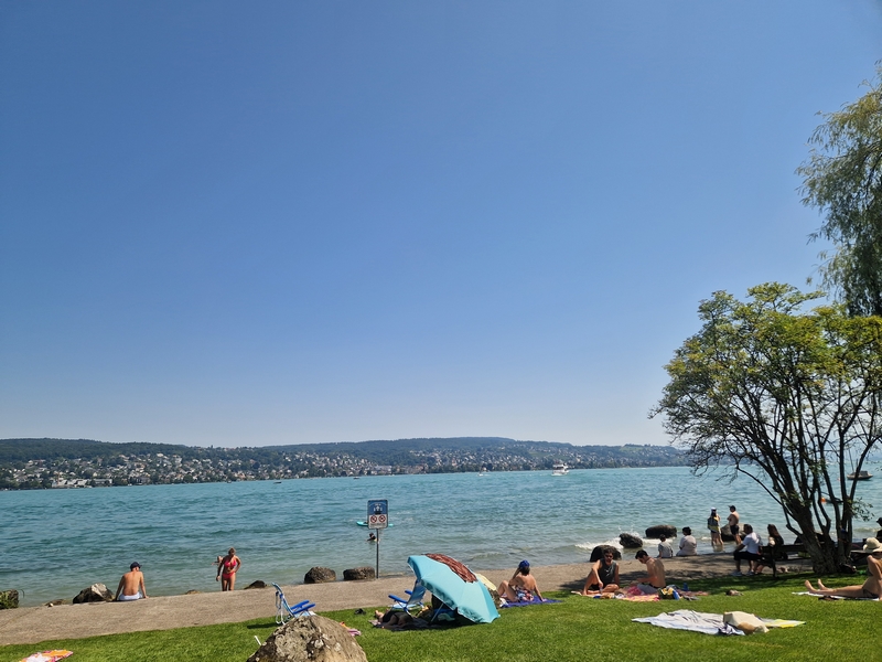 20250809_135820 (Kopiowanie).jpg