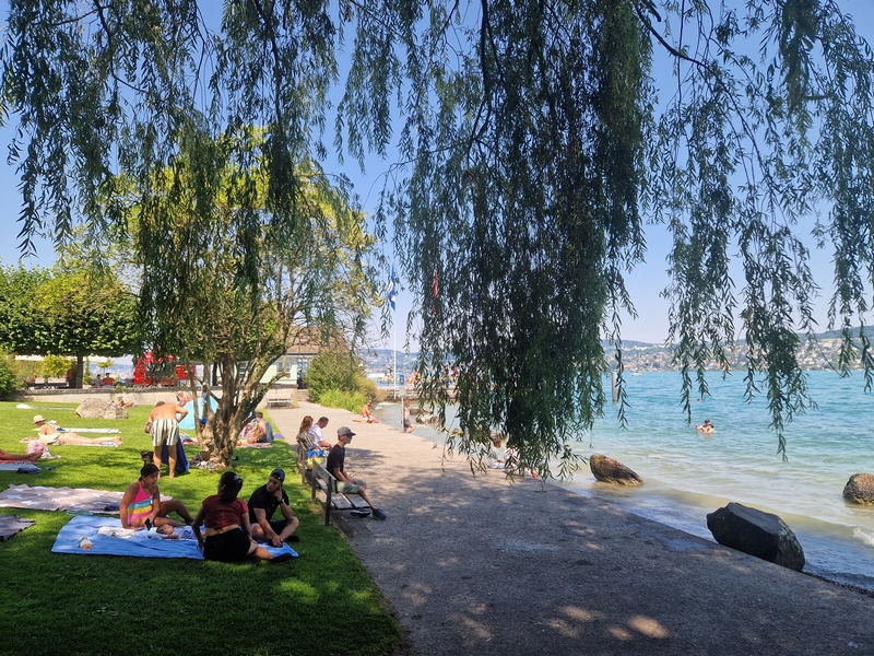 20250809_135924 (Kopiowanie).jpg