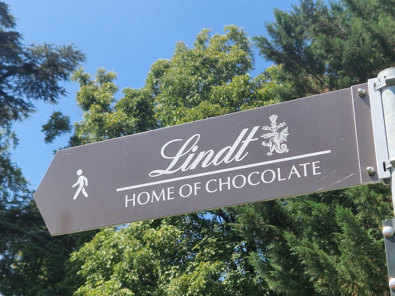 20250809_143553 (Kopiowanie).jpg