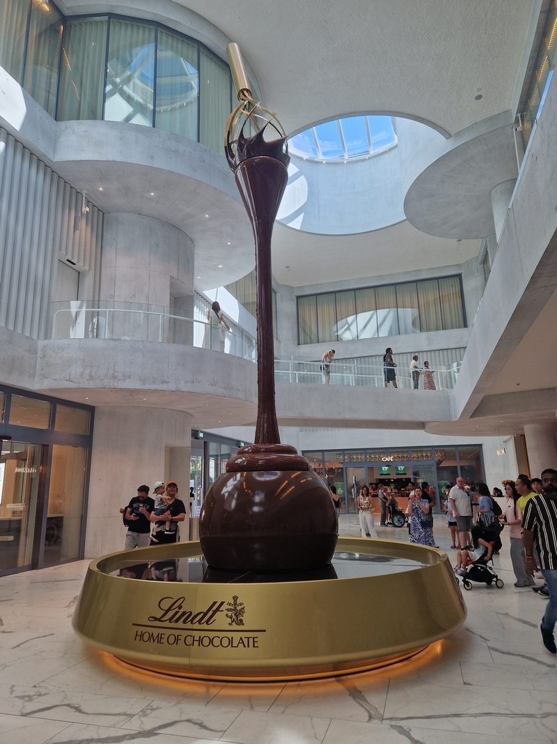 20250809_144548 (Kopiowanie).jpg