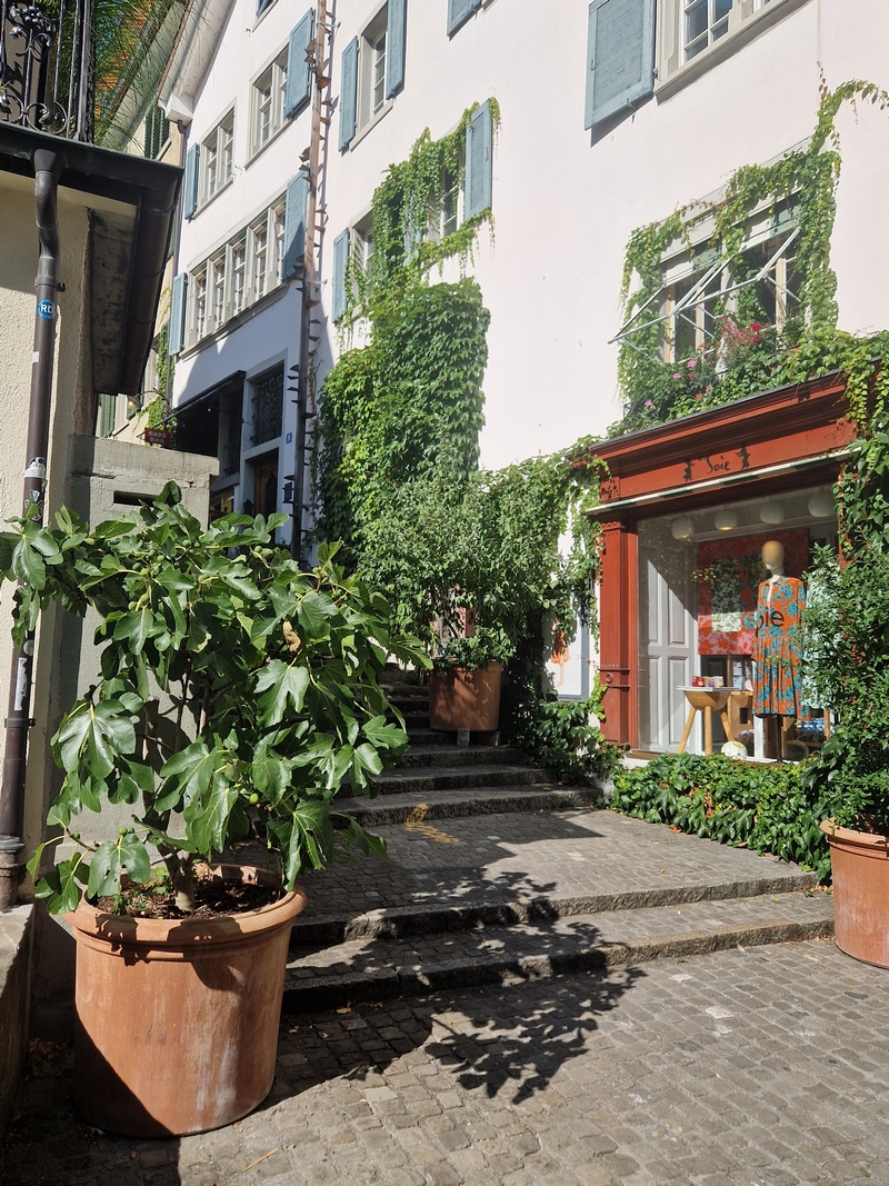 20250809_164727 (Kopiowanie).jpg