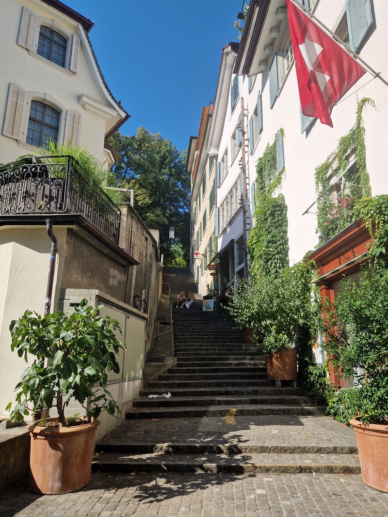 20250809_164743 (Kopiowanie).jpg