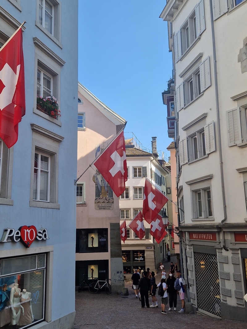 20250809_164815 (Kopiowanie).jpg