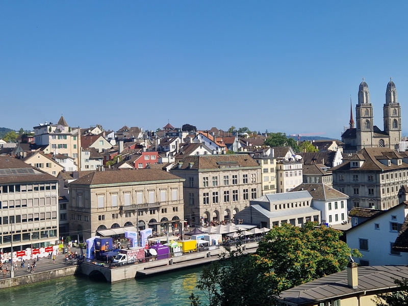 20250809_165137 (Kopiowanie).jpg