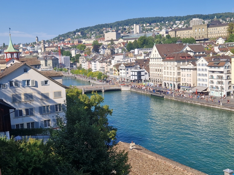 20250809_165254 (Kopiowanie).jpg