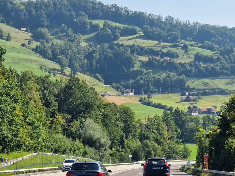 20250810_102034 (Kopiowanie).jpg