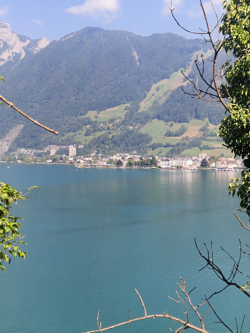 20250810_102856 (Kopiowanie).jpg