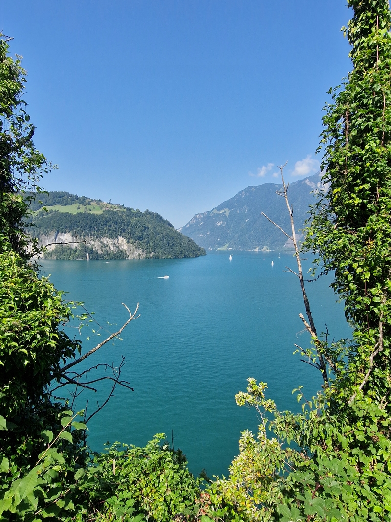 20250810_102911 (Kopiowanie).jpg