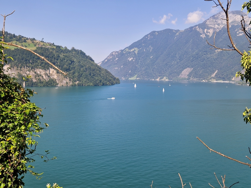 20250810_102927 (Kopiowanie).jpg