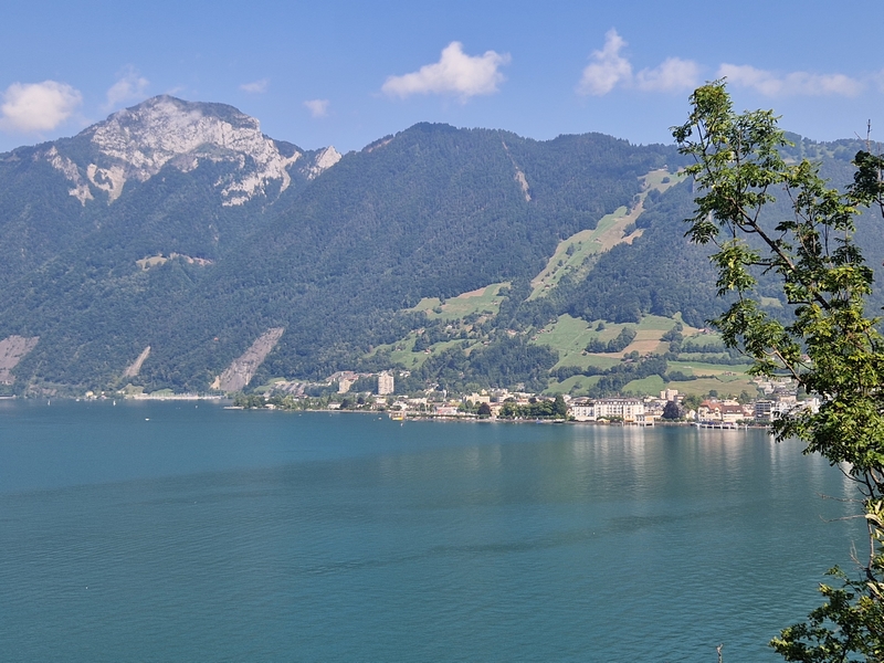 20250810_102948 (Kopiowanie).jpg