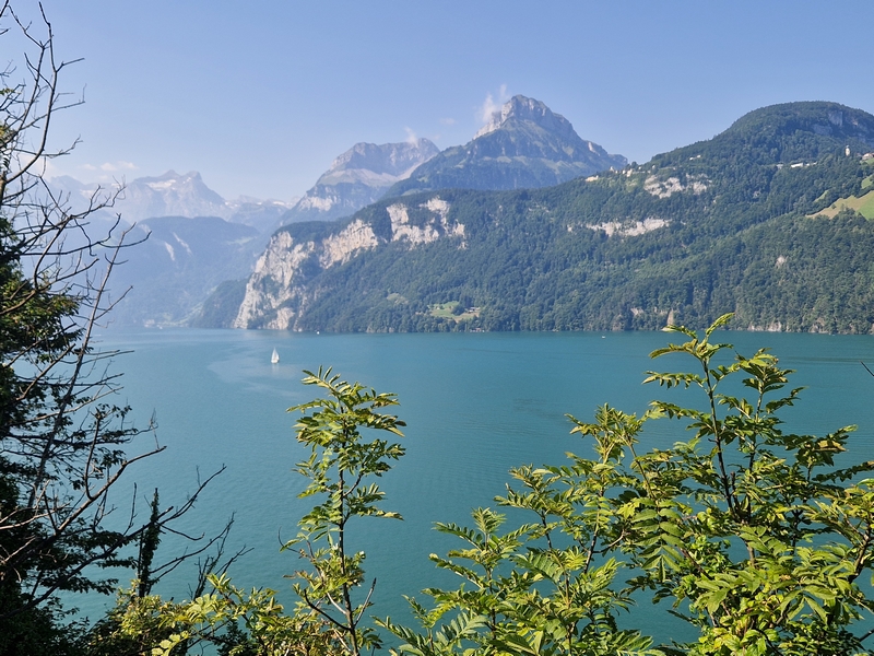 20250810_103025 (Kopiowanie).jpg