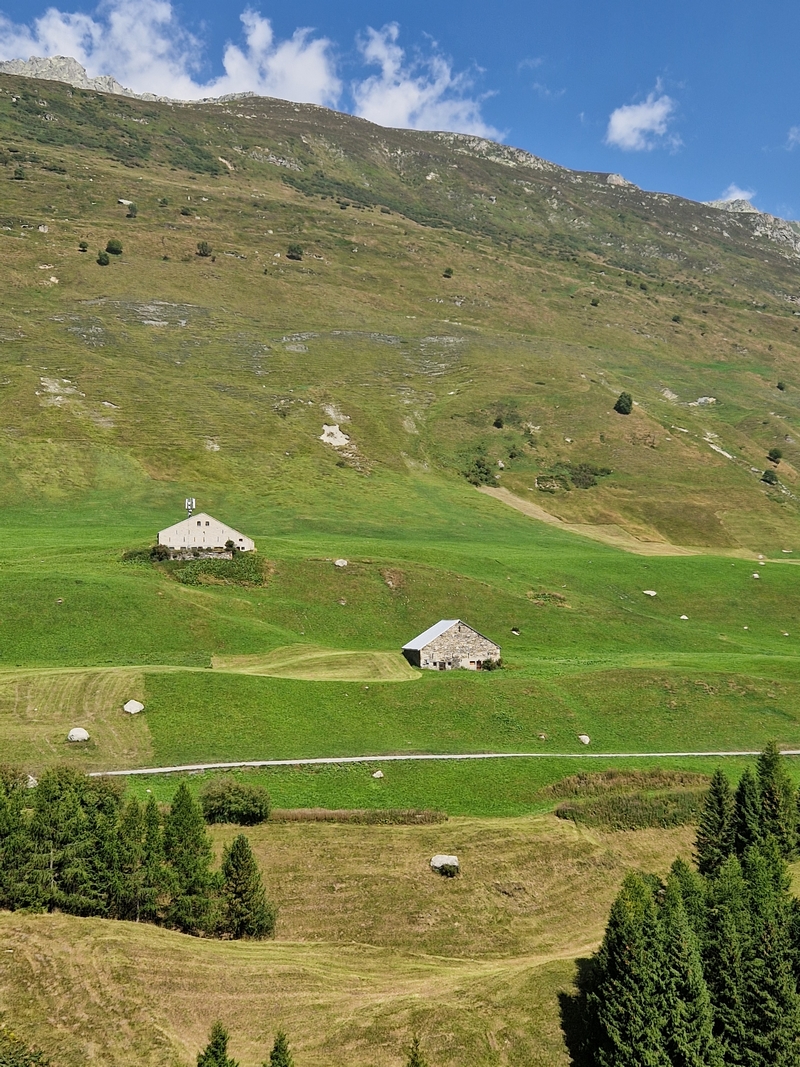 20250810_113104 (Kopiowanie).jpg