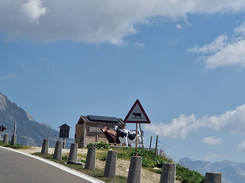 20250810_115417 (Kopiowanie).jpg