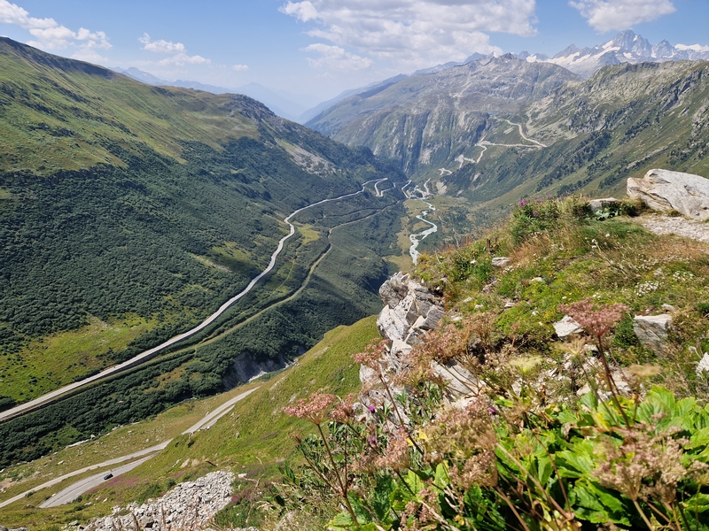 20250810_123815 (Kopiowanie).jpg