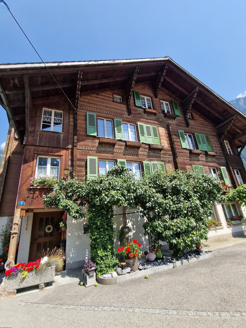 20250810_140646 (Kopiowanie).jpg