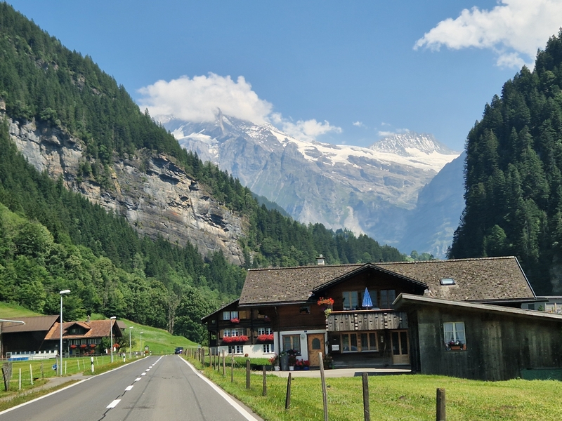 20250810_145553 (Kopiowanie).jpg