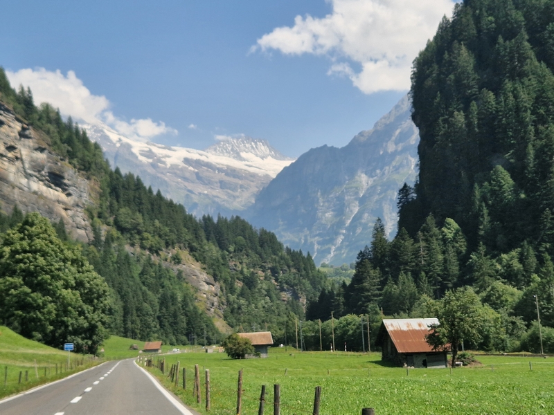 20250810_145608 (Kopiowanie).jpg