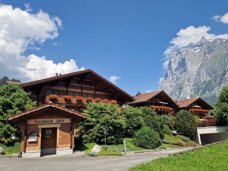 20250810_151902 (Kopiowanie).jpg