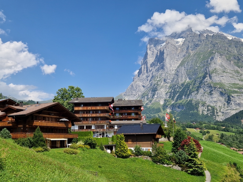 20250810_152229 (Kopiowanie).jpg