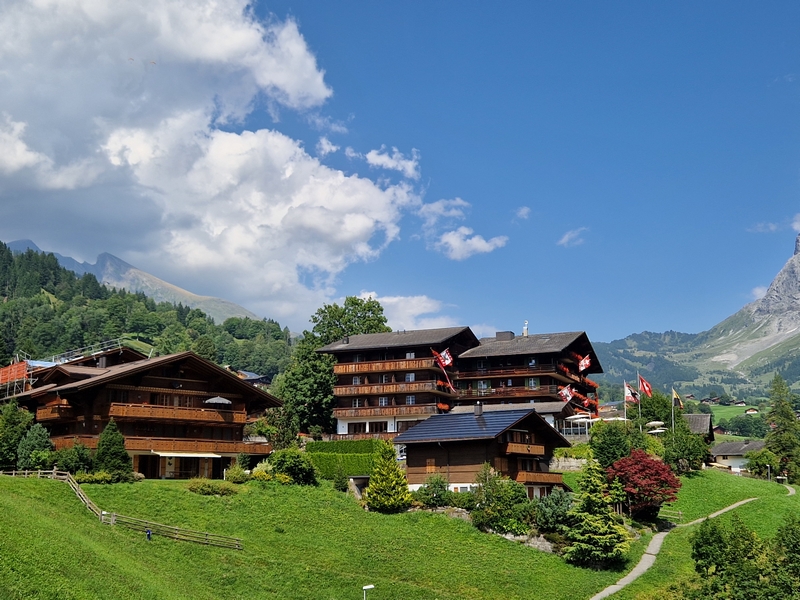 20250810_152414 (Kopiowanie).jpg