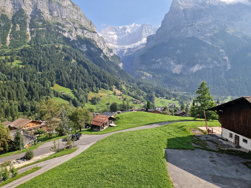 20250810_170809 (Kopiowanie).jpg