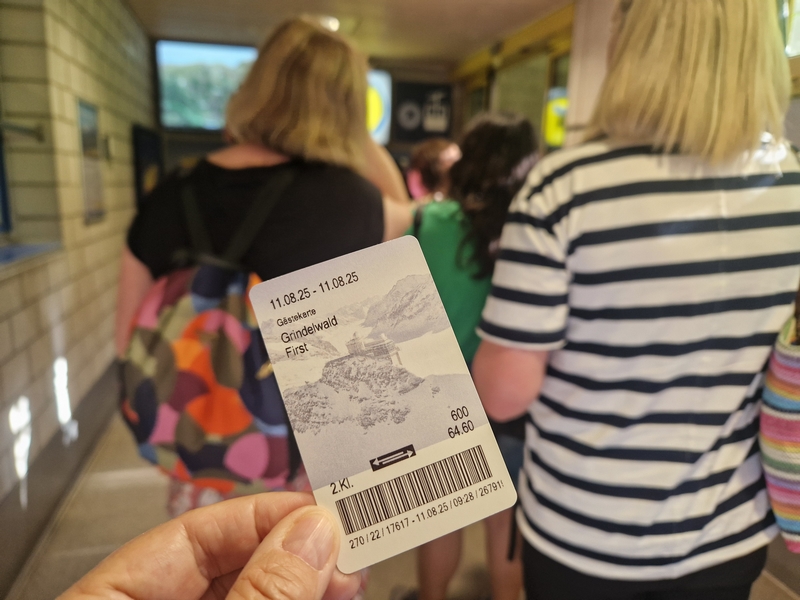 20250811_093031 (Kopiowanie).jpg