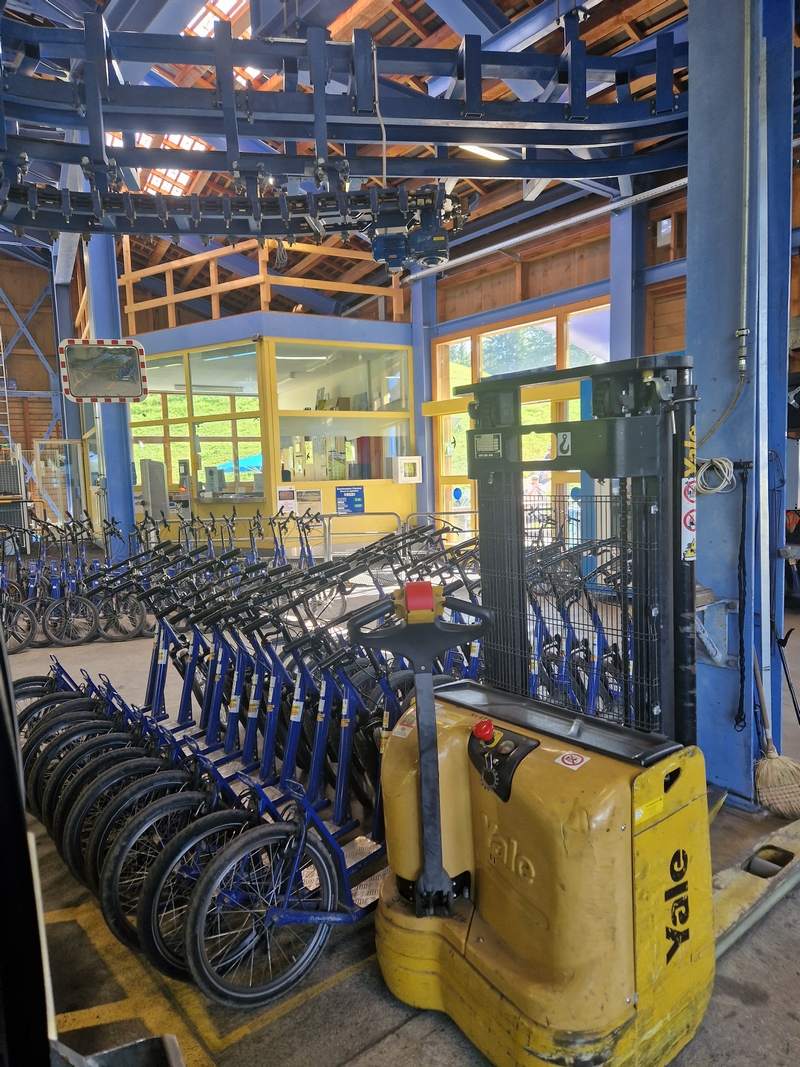 20250811_095029 (Kopiowanie).jpg