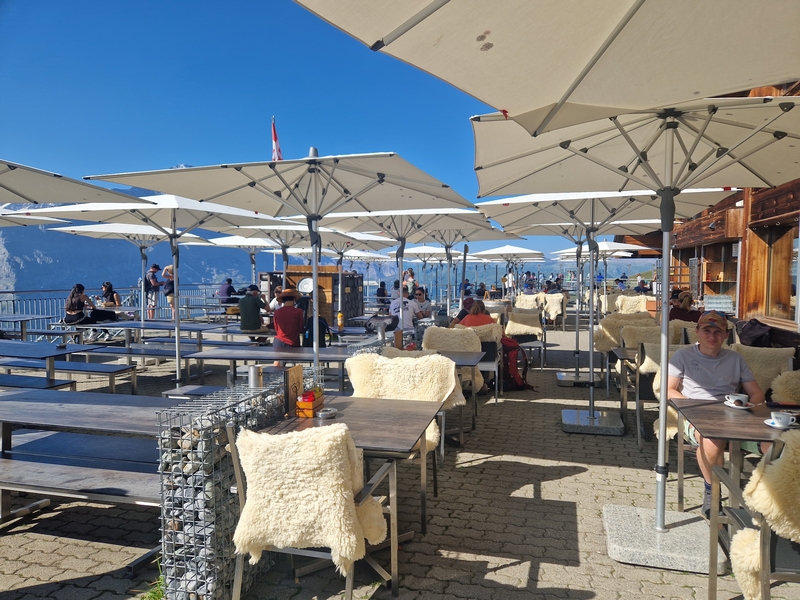 20250811_100826 (Kopiowanie).jpg