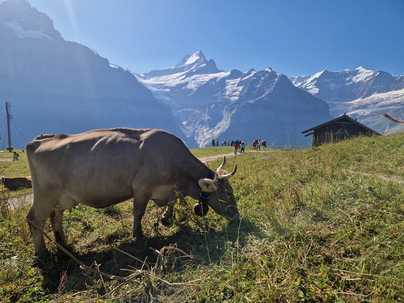 20250811_102207 (Kopiowanie).jpg