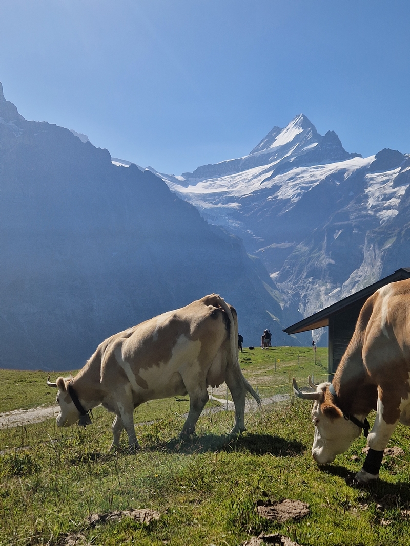 20250811_102253 (Kopiowanie).jpg