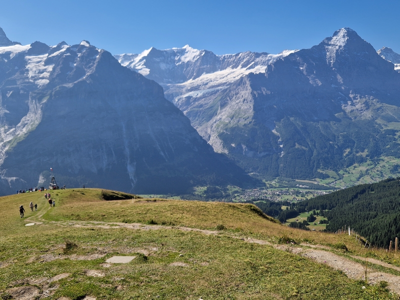 20250811_102534 (Kopiowanie).jpg