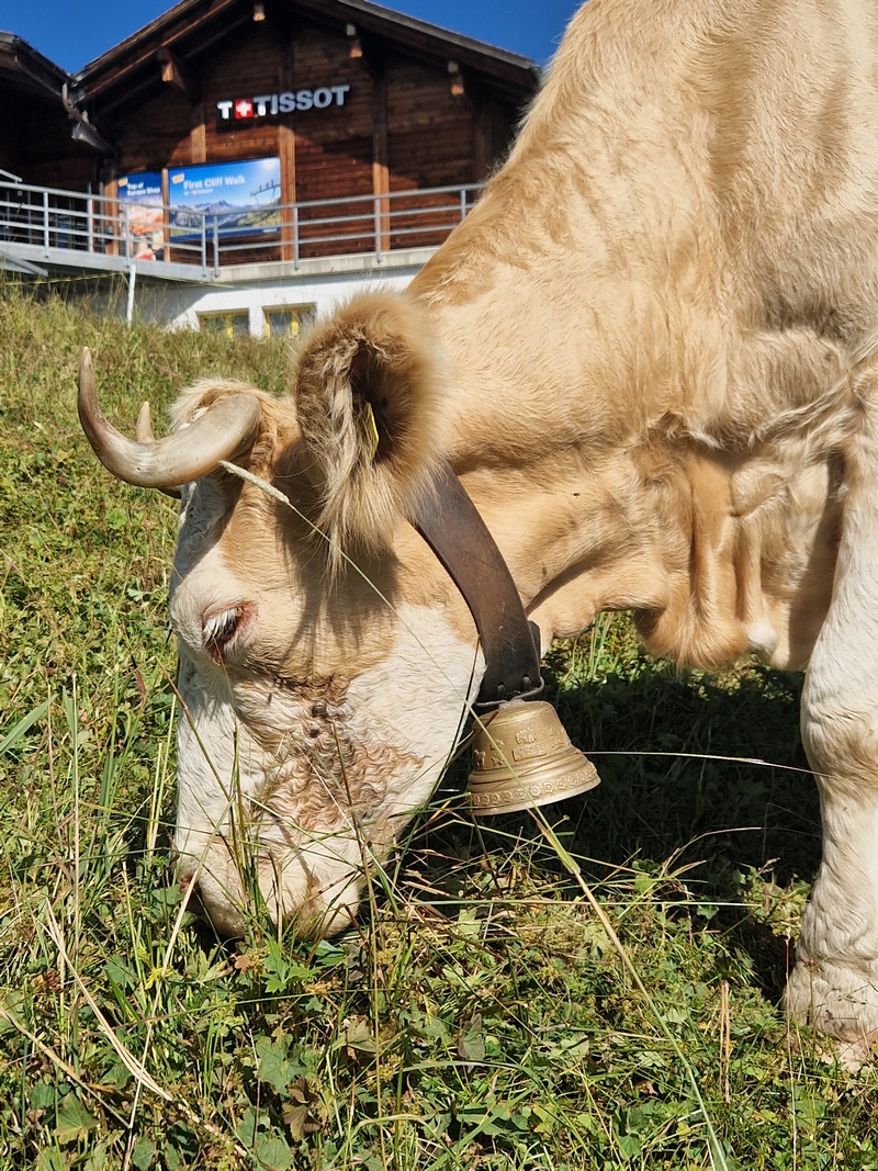 20250811_102705 (Kopiowanie).jpg