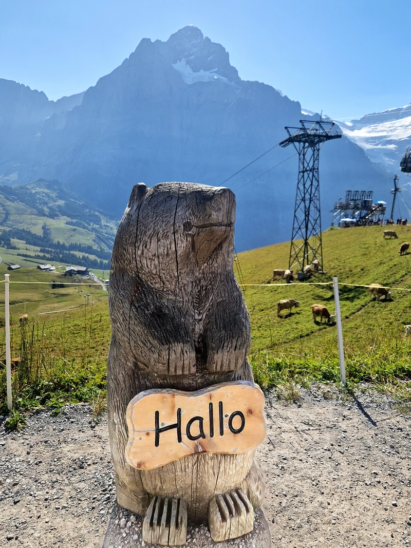 20250811_102847 (Kopiowanie).jpg