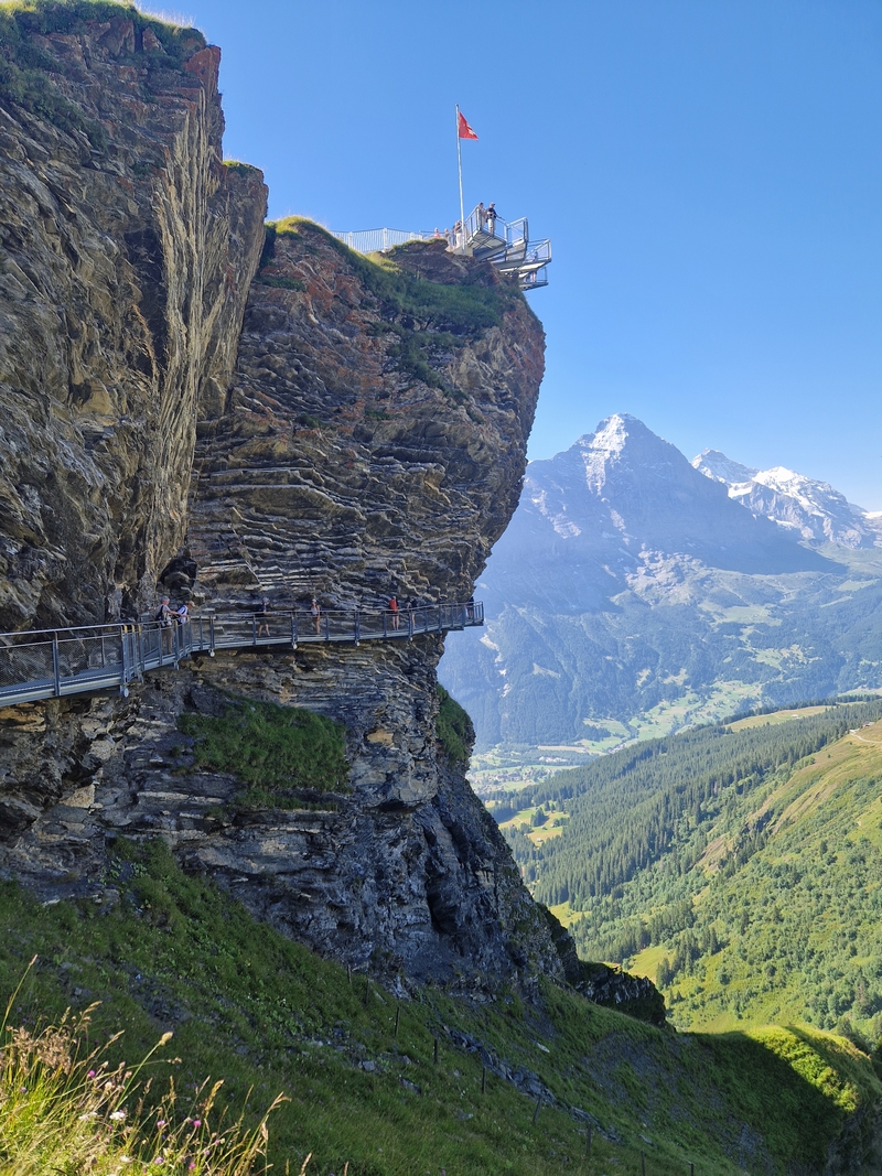 20250811_103155 (Kopiowanie).jpg