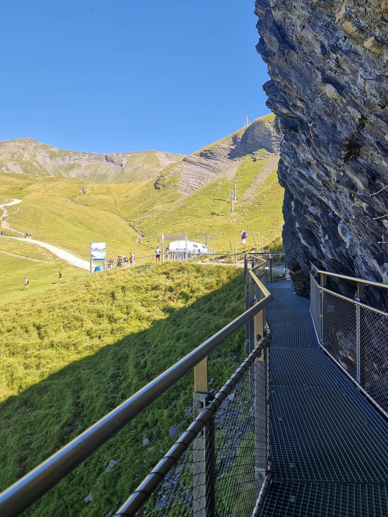 20250811_103347 (Kopiowanie).jpg