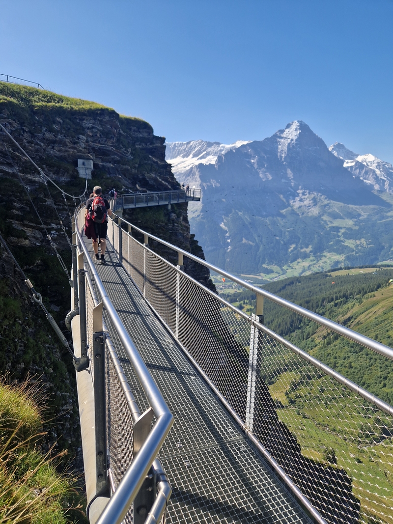 20250811_103505 (Kopiowanie).jpg