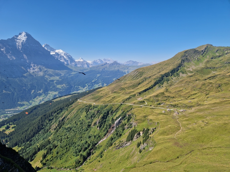 20250811_103511 (Kopiowanie).jpg