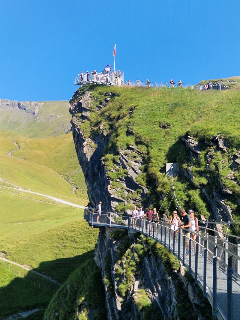 20250811_103553 (Kopiowanie).jpg