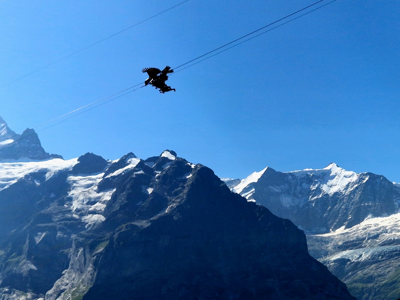 20250811_104830 (Kopiowanie).jpg