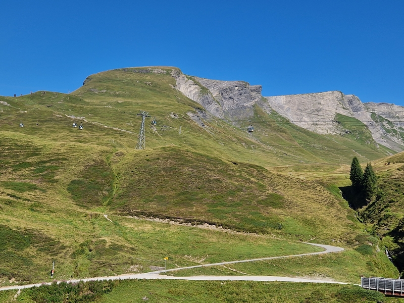 20250811_105232 (Kopiowanie).jpg