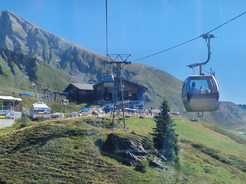 20250811_105240 (Kopiowanie).jpg